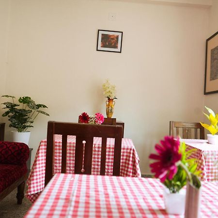 Mother Tree Inn Kochi 外观 照片